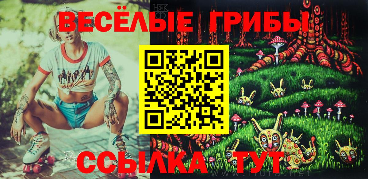 Галлюциногенные грибы мицелий  Вход с VPN  Зеленокумск 